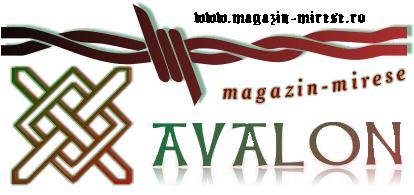 Logo Avalon Logo Avalon