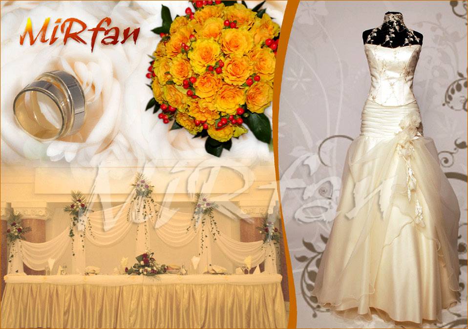 Logo Mirfan Logo Mirfan