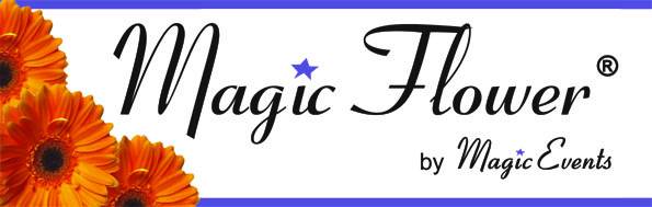 Logo Magic Flower Logo Magic Flower