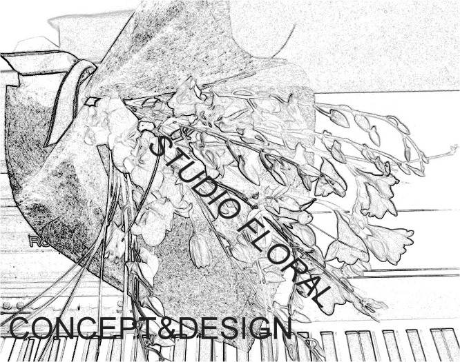 Logo Studio Floral Logo Studio Floral
