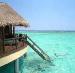 Luna de miere Travel Society
