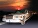Limuzine 1st  class  limo