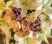 Aranjamente nunta Studio Floral