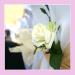Aranjamente nunta 7Arts for Wedding