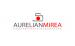 Filmari nunti Aurelian Mirea Your Private Videographer