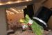 Restaurante nunta Continental Forum Sibiu