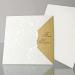 Invitatii nunta Deluxe Cards