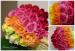Aranjamente nunta Flower Decor