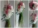 Aranjamente nunta Flower Decor
