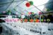  Decoratiuni nunta Wedding Pompoms
