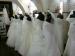   Rochii de mireasa Mariage Center