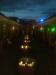 Restaurante nunta Alberi