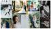 Fotografi nunta Belle Foto