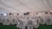 Corturi de nunta Catering Evenimente