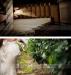 Fotografi nunta Chic Wedding Photography