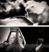Fotografi nunta Chic Wedding Photography
