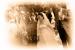 Fotografi nunta Easy Weddings