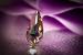 Accesorii mireasa Emidale