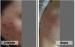 Intretinere/Infrumusetare Anna Skin Care
