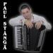 Formatii de nunta/ Lautari Paul Stanga Band