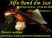 Formatii de nunta/ Lautari Alfa Band din Iasi