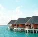 Luna de miere Travel Society