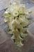  Decoratiuni nunta Butterfly Events