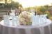 Aranjamente nunta My Wedding