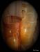  Decoratiuni nunta Glow Design