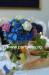  Decoratiuni nunta Party Day