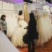 Targuri de nunti  Sibiu Wedding Days