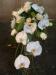 Aranjamente nunta Flower Design Expert