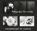 Fotografi nunta Fotografii la nunta