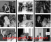Fotografi nunta Fotografii la nunta