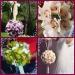  Decoratiuni nunta J'Adore Events