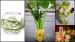  Decoratiuni nunta Yes Events