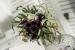 Targuri de nunti Wedding Fever