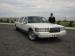 Limuzine 1st  class  limo