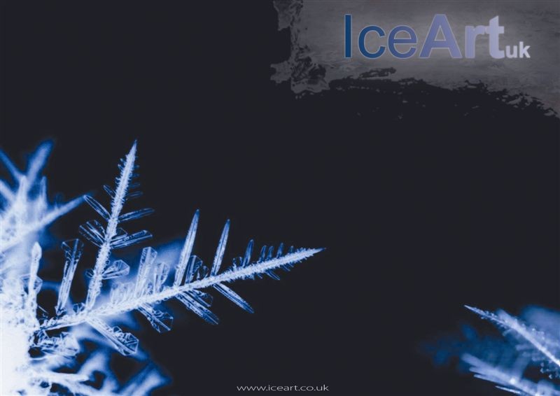 Logo Ice Art Logo Ice Art